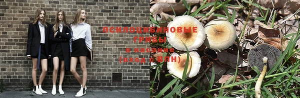 гашишное масло Новый Уренгой